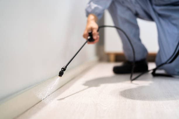 Licensed Cockroach Control service in Clinton County County, IN - Nex Pest Control